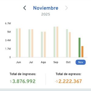 BCI ingreso y egresos